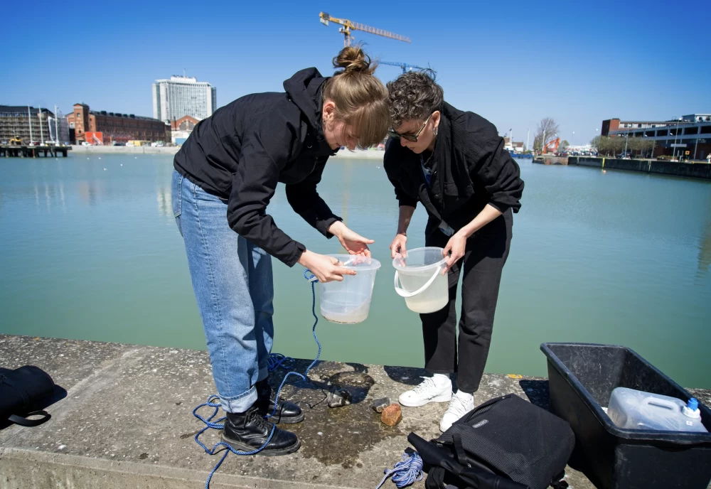 Sea Forums