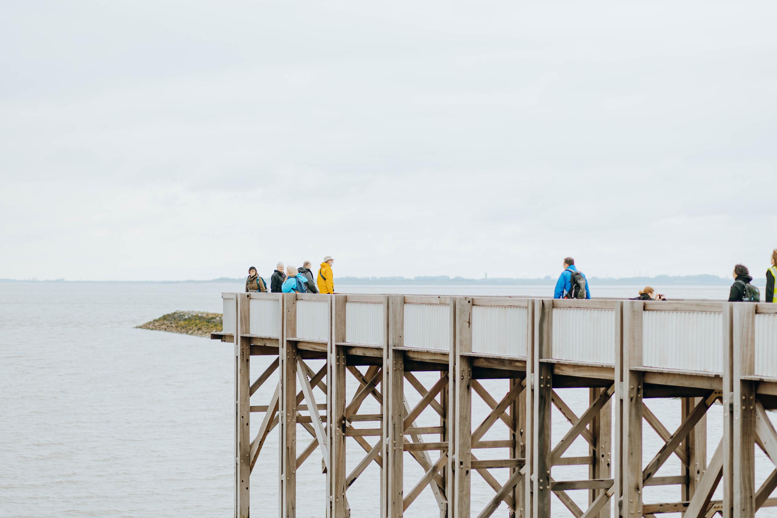 ▴  Walking along the Scheldt River Delta © Grenspark Groot Saeftinghe